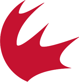 A red leaf shaped logo Description automatically generated