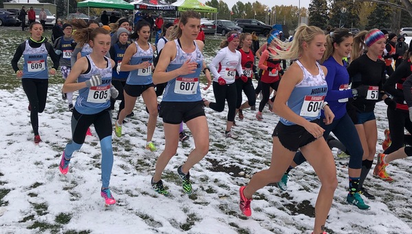 XC | Kodiaks women ranked first in country after strong meet